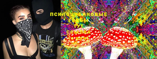 PSILOCYBIN Вязники